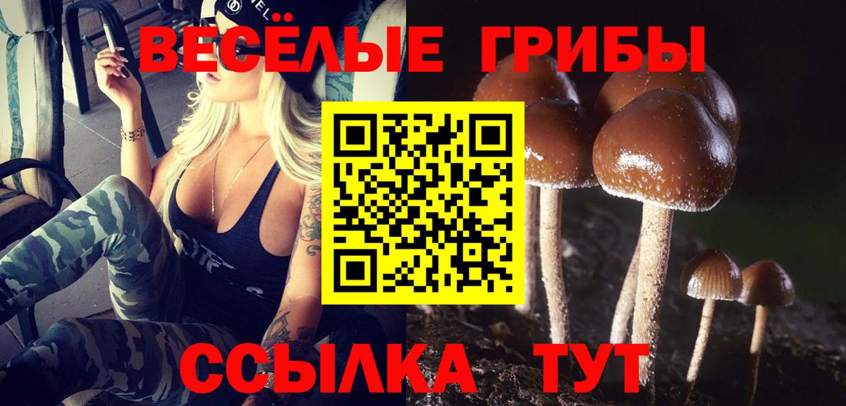 Кимры  Галлюциногенные грибы ЛСД  Вход с VPN 