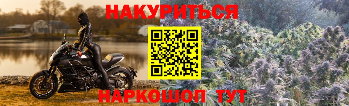 Каннабис гибрид Кимры